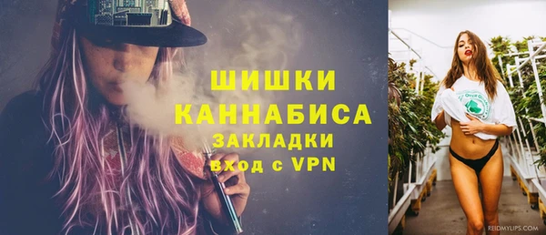 mix Белокуриха