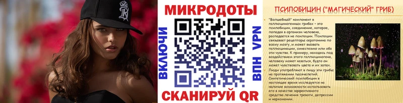 Псилоцибиновые грибы Psilocybe  купить наркотик  Волжск 